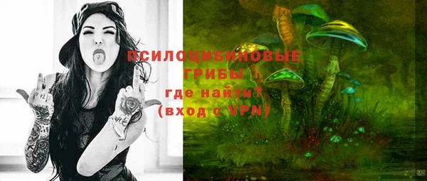 СК Нязепетровск