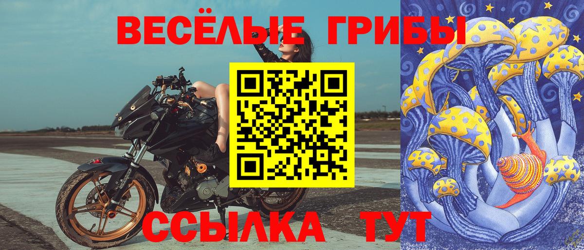 Саранск  Галлюциногенные грибы мицелий  Псилоцибиновые грибы Psilocybe  Вход с VPN 